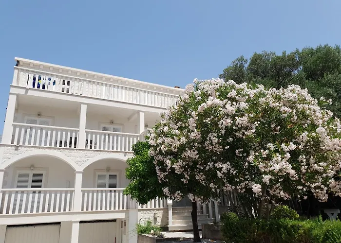 Costa Rica * オレビック