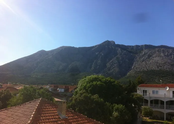 Costa Rica オレビック